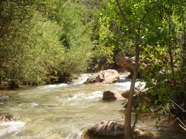 Fossil Creek Rapids