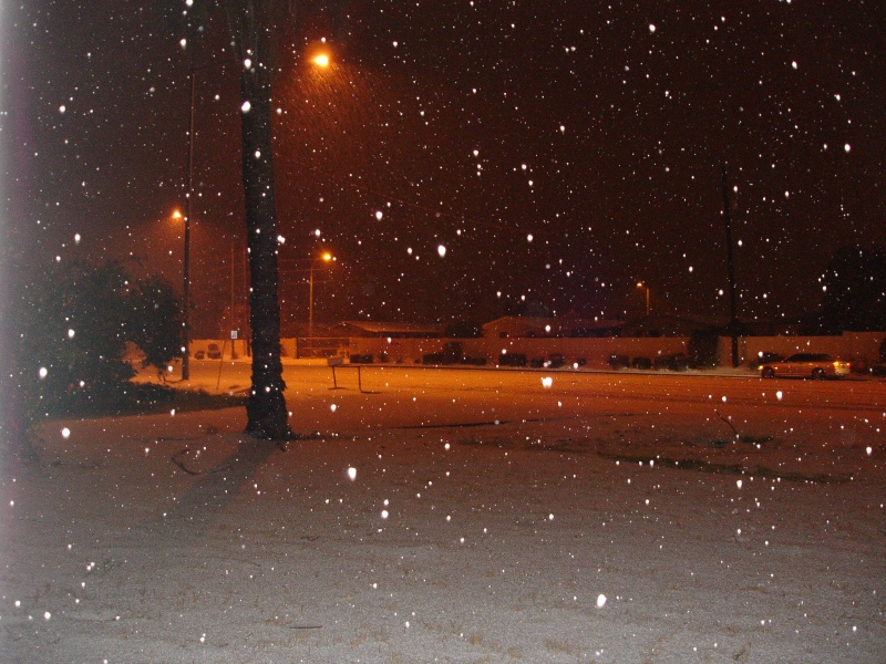 Snow on Higley Road